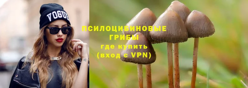 кракен зеркало  Северск  маркетплейс телеграм  Галлюциногенные грибы Magic Shrooms 